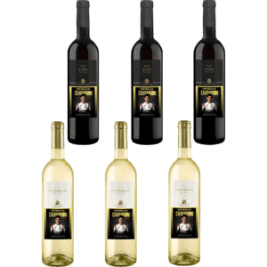 Carton de 6 bouteilles (3x Petite Arvine + 3x Syrah)