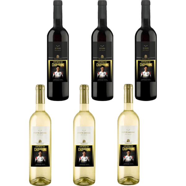 Carton de 6 bouteilles (3x Petite Arvine + 3x Syrah)